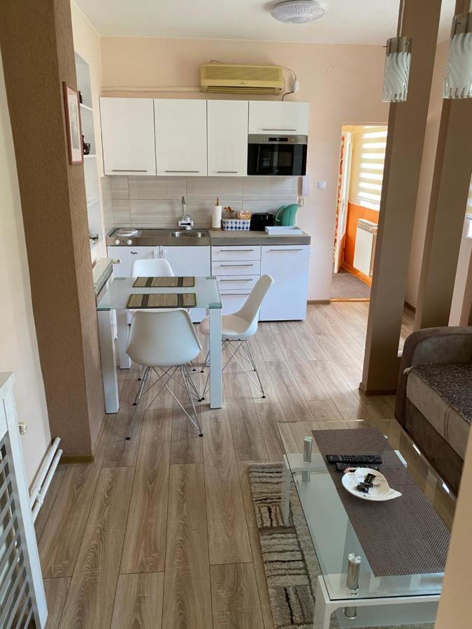 Apartmani Rajin Vrsac Dış mekan fotoğraf