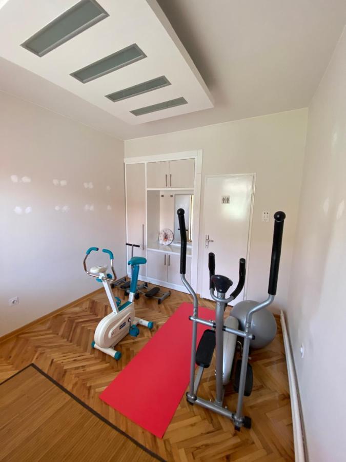 Apartmani Rajin Vrsac Dış mekan fotoğraf